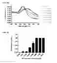 Fig. 19 - NUCLEIC ACID-FUNCTIONALIZED NANOPARTICLES
