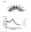 Fig. 20 - NUCLEIC ACID-FUNCTIONALIZED NANOPARTICLES