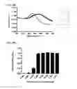 Fig. 22 - NUCLEIC ACID-FUNCTIONALIZED NANOPARTICLES