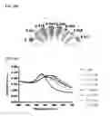 Fig. 23 - NUCLEIC ACID-FUNCTIONALIZED NANOPARTICLES