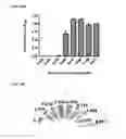 Fig. 24 - NUCLEIC ACID-FUNCTIONALIZED NANOPARTICLES