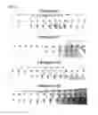 Fig. 25 - NUCLEIC ACID-FUNCTIONALIZED NANOPARTICLES