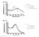 Fig. 32 - NUCLEIC ACID-FUNCTIONALIZED NANOPARTICLES