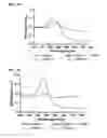 Fig. 44 - NUCLEIC ACID-FUNCTIONALIZED NANOPARTICLES