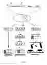 Fig. 03 - Screening of protein candidates