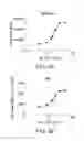 Fig. 06 - Methods of measuring factor D activity and potency of factor D inhibitors
