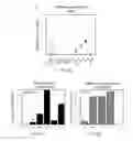 Fig. 11 - Molecular analysis of tumor samples
