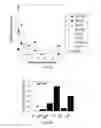 Fig. 12 - Molecular analysis of tumor samples