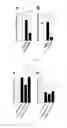 Fig. 03 - Glucose derivative, and cell imaging method and imaging agent using said derivative
