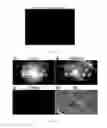 Fig. 05 - Glucose derivative, and cell imaging method and imaging agent using said derivative
