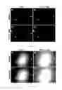 Fig. 06 - Glucose derivative, and cell imaging method and imaging agent using said derivative