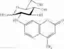 Fig. 24 - Glucose derivative, and cell imaging method and imaging agent using said derivative