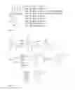 Fig. 04 - Enzymes Functional Probes