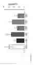 Fig. 24 - Enzymes Functional Probes