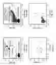 Fig. 06 - Markers for preeclampsia