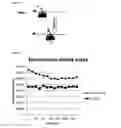 Fig. 05 - Nucleosome substrate assays