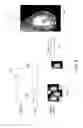 Fig. 06 - System and method of acquiring images using an X-ray imaging system
