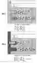 Fig. 05 - Method for estimating reservoir fluid characteristics in laminated media