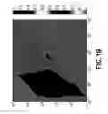 Fig. 28 - Robust multi-dimensional inversion from wellbore NMR measurements