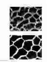 Fig. 11 - Nanowire bundle array, ultrahigh-performance broadband optical film, and method of manufacturing the same