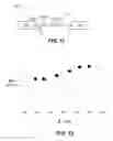 Fig. 09 - Multicore optical fiber with a randomized core structure
