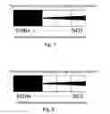 Fig. 06 - Fiber coupler for silicon photonics