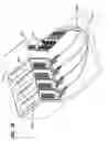 Fig. 22 - Cable distribution system