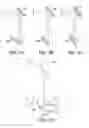 Fig. 06 - Large field of view, high resolution microscope