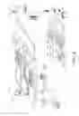 Fig. 13 - Display of binocular overlapping images in a head mounted display