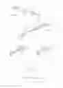 Fig. 03 - Spectacles with interchangeable arms