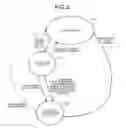 Fig. 03 - Device, operation-mode control method, and recording medium