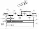 Fig. 01 - System and method for 3D position and gesture sensing of human hand