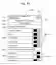 Fig. 15 - Control method of information device for managing electric power consumption of devices in increments of branch circuits