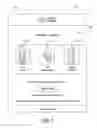 Fig. 09 - Multiplatform Screen Sharing Solution