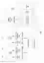 Fig. 02 - Latent modification instruction for transactional execution