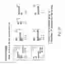 Fig. 31 - Method for populating a source view data structure by using register template snapshots