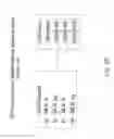 Fig. 30 - METHOD FOR EMULATING A GUEST CENTRALIZED FLAG ARCHITECTURE BY USING A NATIVE DISTRIBUTED FLAG ARCHITECTURE