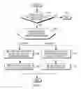 Fig. 07 - Simultaneously capturing status information for multiple operating modes