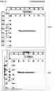 Fig. 48 - RUNSPACE METHOD, SYSTEM AND APPARATUS