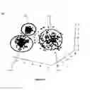 Fig. 12 - Universal repository for holding repeatedly accessible information