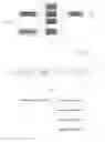 Fig. 03 - Method and device for automatically identifying junk file