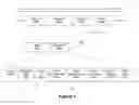 Fig. 05 - Dynamic field data translation to support high performance stream data processing