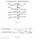Fig. 08 - Method and apparatus for simulating posture of flexible cable based on spring-mass model combining bending and torsion