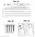 Fig. 02 - Method for designing RNA binding protein utilizing PPR motif, and use thereof