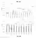 Fig. 16 - Method for designing RNA binding protein utilizing PPR motif, and use thereof