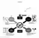 Fig. 07 - INTEGRATED PHYSICAL ACTIVITY LEVEL (I-PAL) MEASUREMENT AND TRACKING IN ADOLESCENTS AND OLDER TEENAGERS