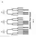 Fig. 04 - Decision forest compilation