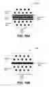 Fig. 13 - Bioimpedance spoof detection