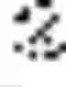 Fig. 02 - Iris liveness detection for mobile devices