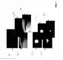 Fig. 08 - Iris liveness detection for mobile devices
